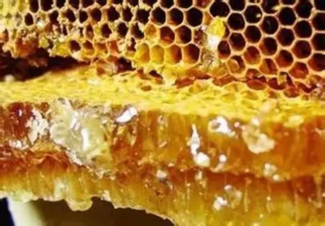蜂胶——人类发现的最伟大天然物质！