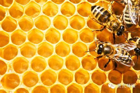 女人怎样喝蜂蜜最健康