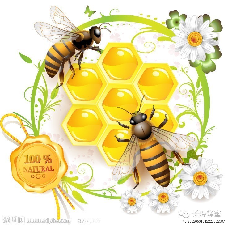 详细解读蜂蜜的几大养生功效