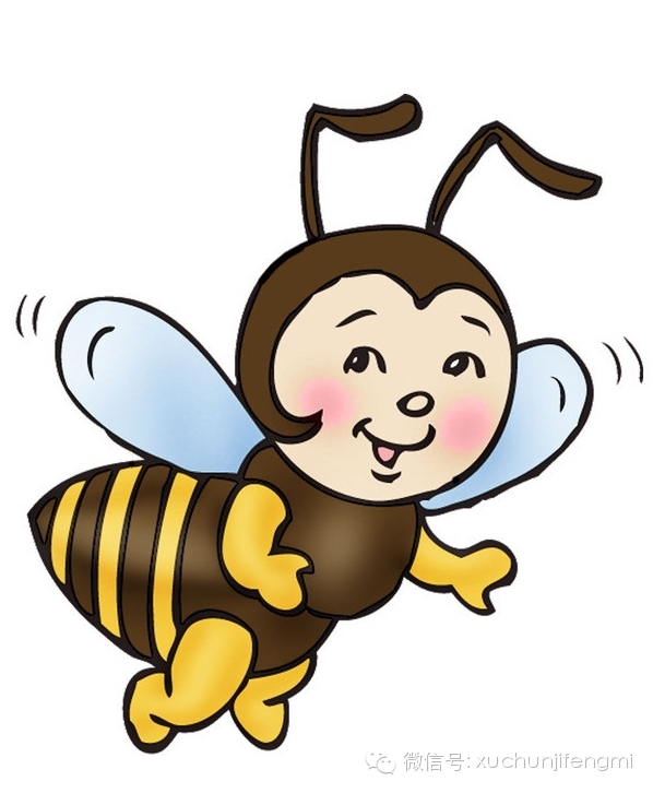 蜂蜜蛰了怎么办？