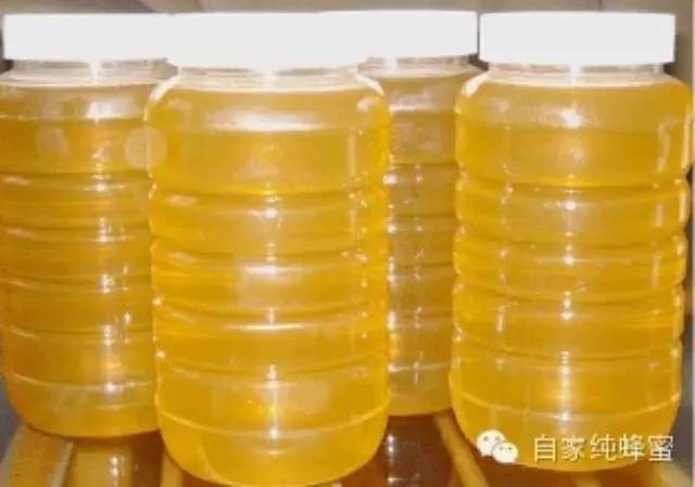 蜂蜜水的好处 正确喝蜂蜜水让您更健康