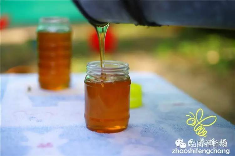 蜂蜜水的作用及功效