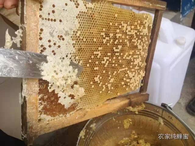 为什么养蜂人的蜂蜜感觉比超市里卖的稀?