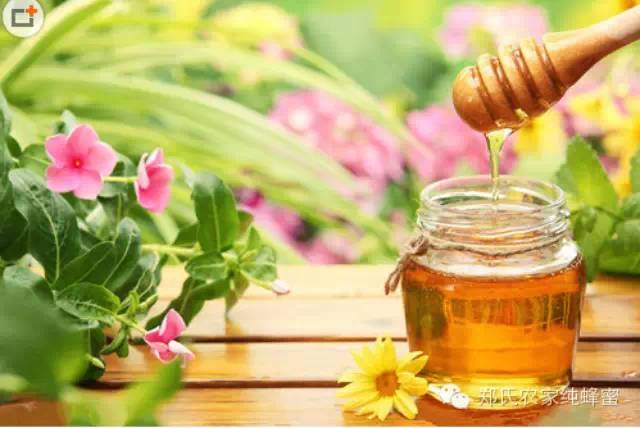 蜂蜜如何正确饮用和储存