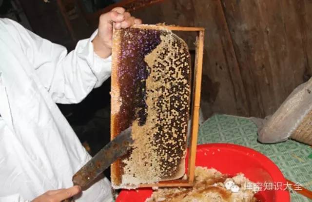 【买蜜必看】成熟蜂蜜PK非成熟蜂蜜