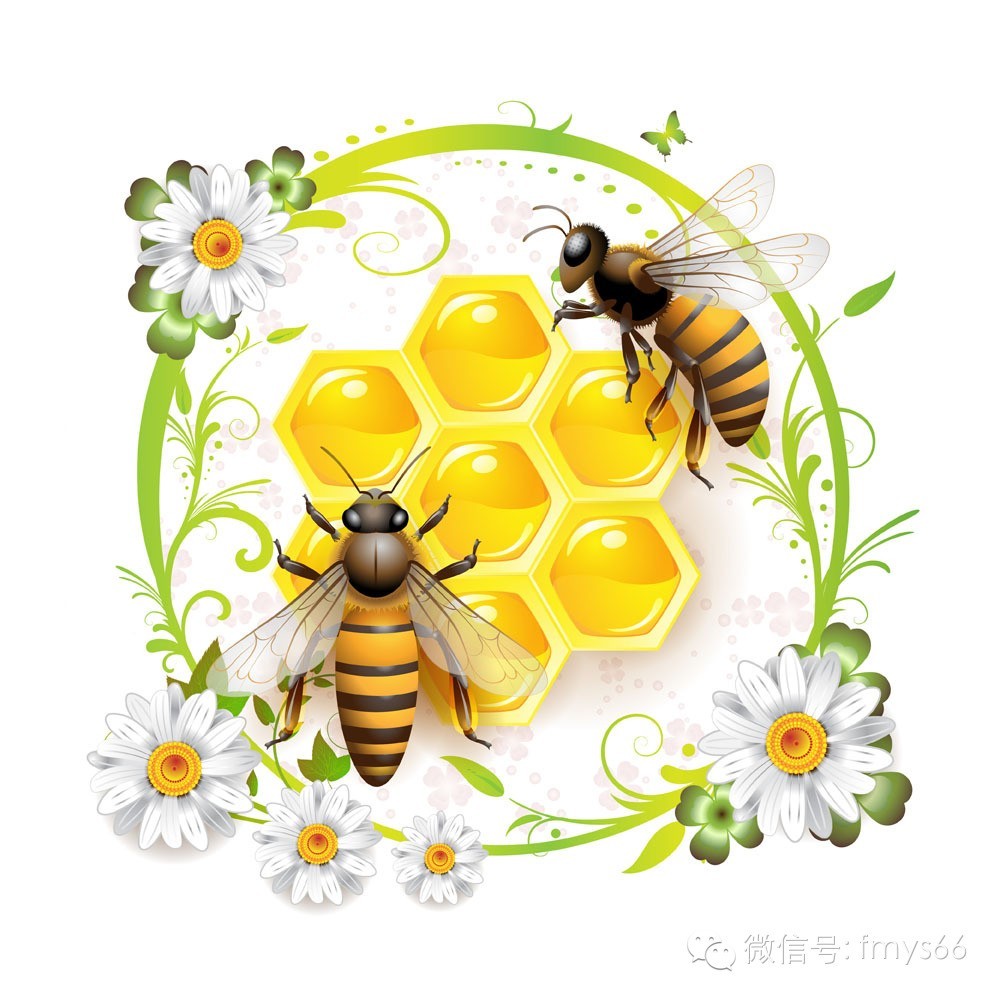 蜂蜜减肥法：怎样喝蜂蜜才减肥