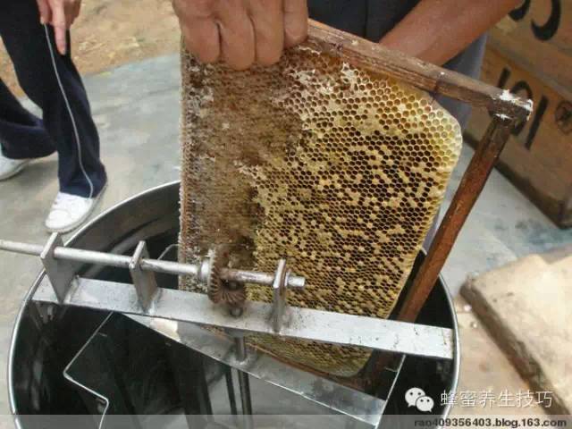 蜂蜜对人体之益处