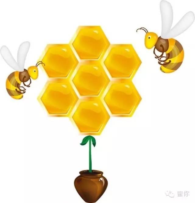 为什么会选择蜂蜜？