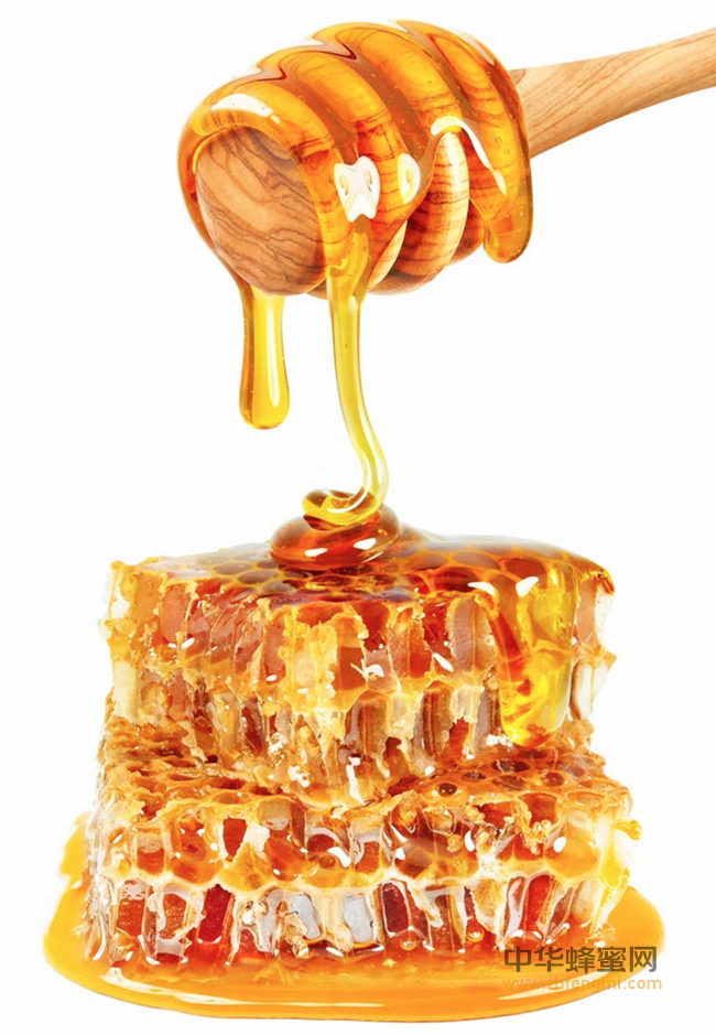 蜂蜜和姜，完美组合，赶快做一杯蜂蜜生姜茶吧！