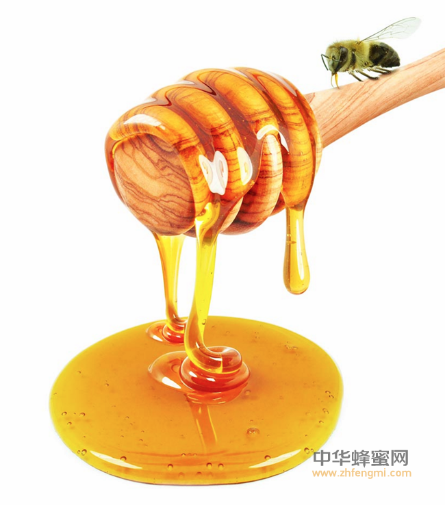 蜂蜜中的酶，没你真的不行！