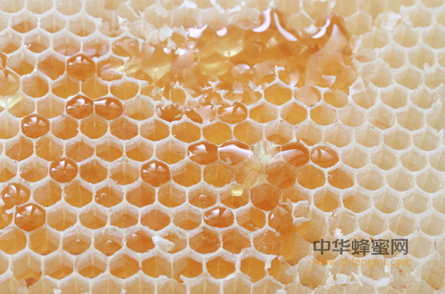 蜂蜜为何抗癌，就因有此物。