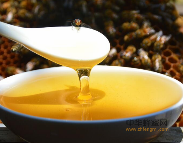 最适宜女性冬季喝的五款蜂蜜养生茶，美容又暖身！