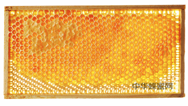 蜂蜜——女人的天然美容剂