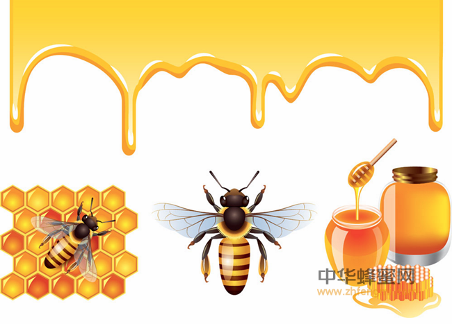 蜜蜂饲养｜浅析长白山区越冬蜂死亡原因