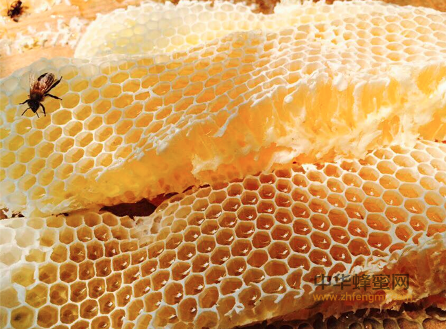 蜂蜜表面的泡沫哪儿来的？是变质了吗？