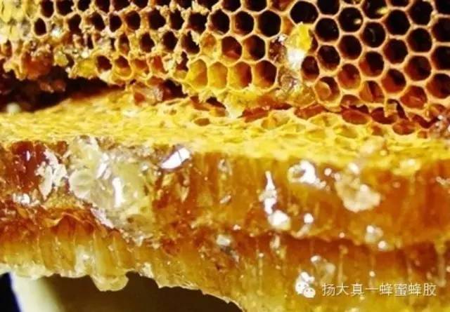 蜂胶可消除降糖药副作用