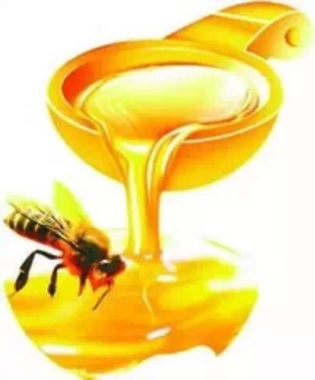 “蜂胶养生”央视健康之路权威解析
