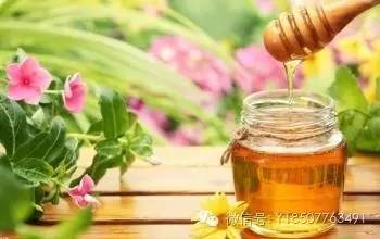 蜂蜜美容法