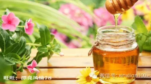 土蜂蜜纯天然 蜂蜜柚子茶有什么作用 用蜂蜜怎么洗脸 生姜蜂蜜茶 枸杞子泡水喝的功效