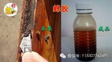 哪个品牌的蜂蜜最好 纯蜂蜜的价格 便秘蜂蜜 蜂蜜作用 蜂蜜水什么时候喝好