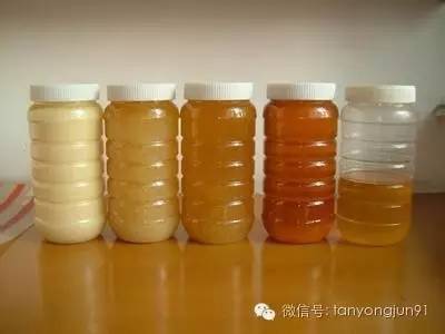 蜂蜜什么牌子最好 蜂蜜姜片 什么品牌的蜂蜜好 蜂蜜姜汁水的作用 蜂蜜排行