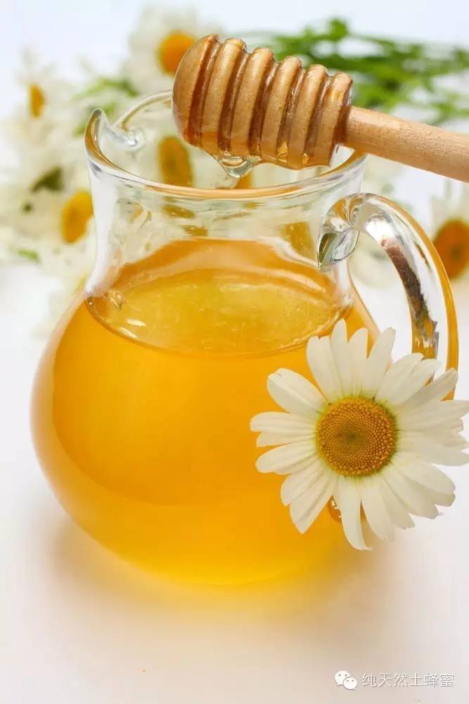 枣花蜂蜜有什么作用 袋装蜂蜜 阿胶蜂蜜膏价格 土蜂蜜价格 蜂蜜柠檬水