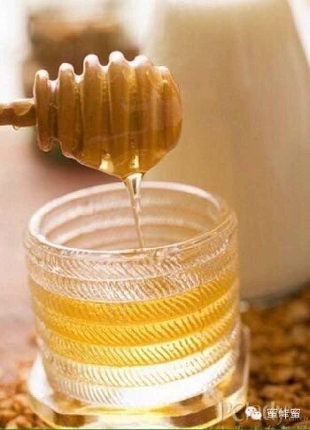 哪个品牌的蜂蜜好 蜂蜜 品牌 三七粉加蜂蜜面膜 散装蜂蜜 纯蜂蜜多少钱一斤