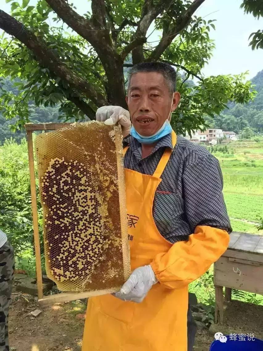 油山镇蜂管家推出蜂箱认养，打破蜂蜜信任危机