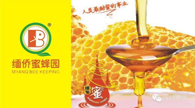 中华蜂蜜 美白柠檬水 慈生堂蜂蜜 蜂蜜什么时候喝最好 花茶