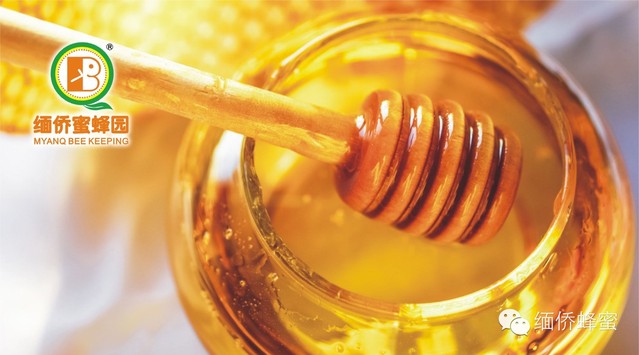 蜂蜜可治疗饮酒过量引起的不适