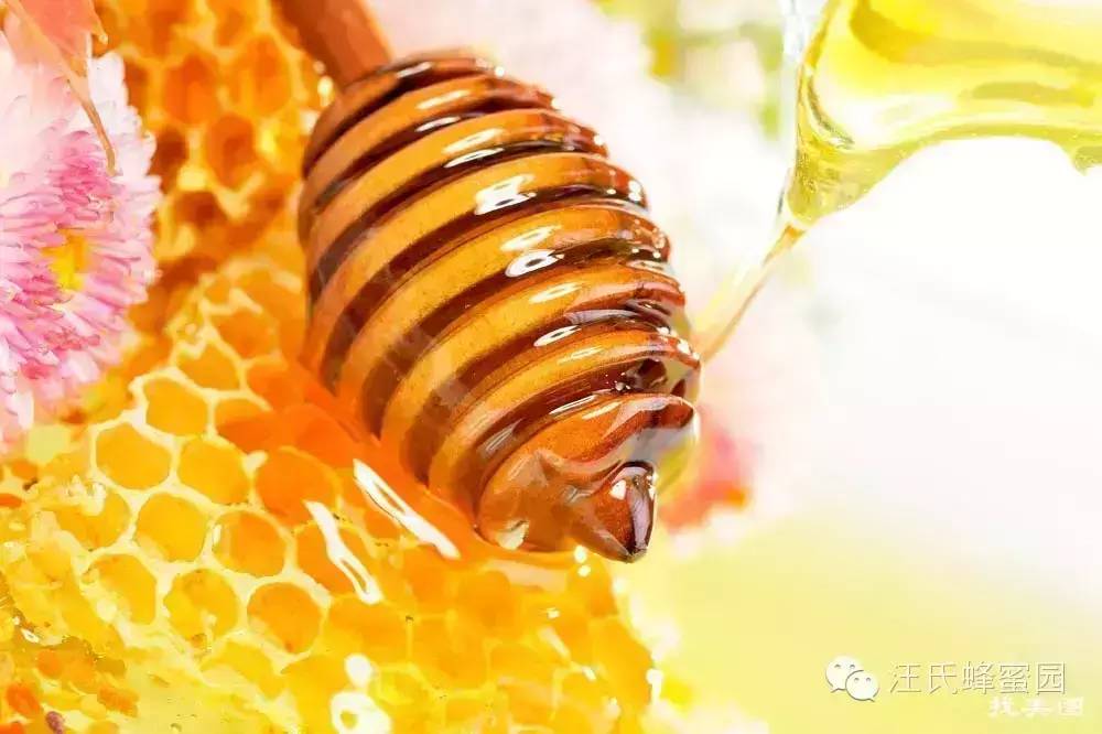 面粉蜂蜜面膜 桂花蜂蜜 蜂蜜什么品牌好 蜂蜜怎么做面膜 蜂蜜茶
