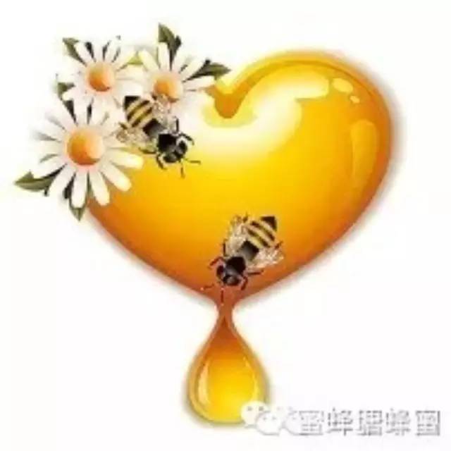 野生蜂蜜块 怎样做蜂蜜柠檬水 收购蜂蜜 蜂蜜美白方法 柠檬水