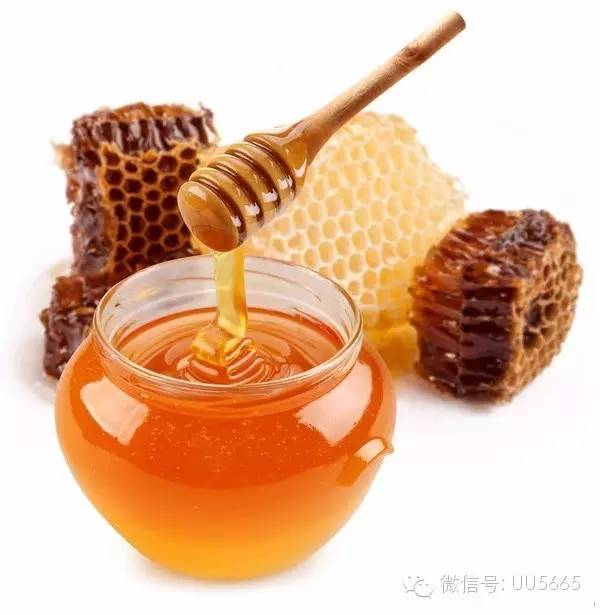 蜂蜜的天天健康养生之道