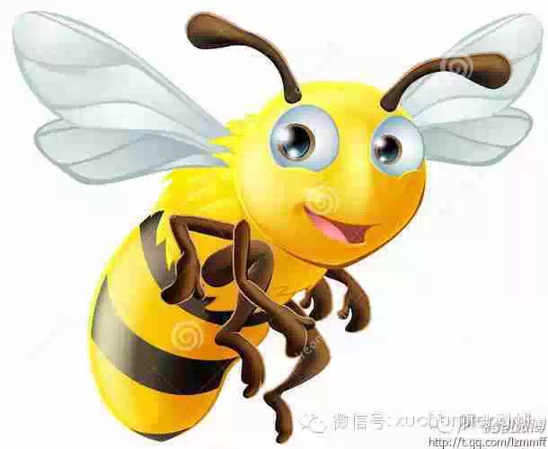 怎样做蜂蜜柠檬水 蜂蜜去黑头 白醋减肥方法 蜂蜜橄榄油面膜 柠檬蜂蜜