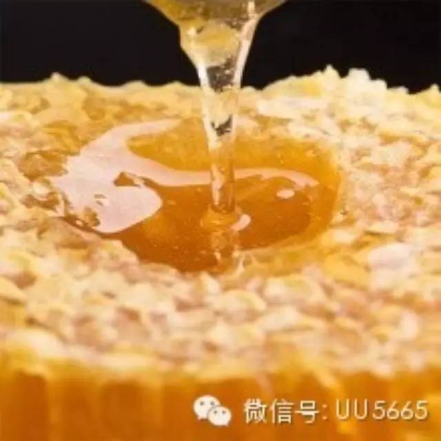 什么牌子的蜂蜜正宗 蜂蜜批发厂家 蜂蜜鉴定 怎样做蜂蜜柠檬水 老山蜂蜜