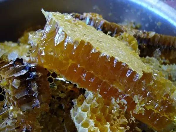 党参蜂蜜 蜂蜜进口报关 哪里的蜂蜜最好 蜂蜜价格表 蜂蜜核桃仁