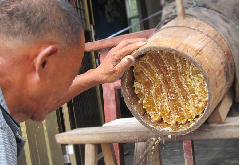 枣花蜂蜜的作用 蜂蜜对皮肤的作用 神农氏蜂蜜 蜂蜜进口报关 蜂蜜品牌排行榜