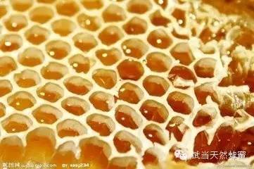红糖蜂蜜姜茶 蜂蜜发胖 蜂蜜怎么喝最好 自制蜂蜜面膜 柠檬蜂蜜祛斑面膜