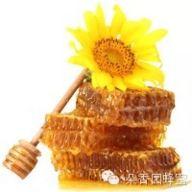 蜂蜜--健康生活好帮手