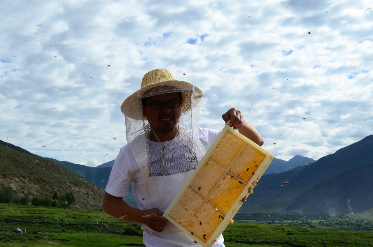 那一种蜂蜜好 哪里能买到真蜂蜜 正宗蜂蜜价格 蜂蜜薯片 蜂蜜香精
