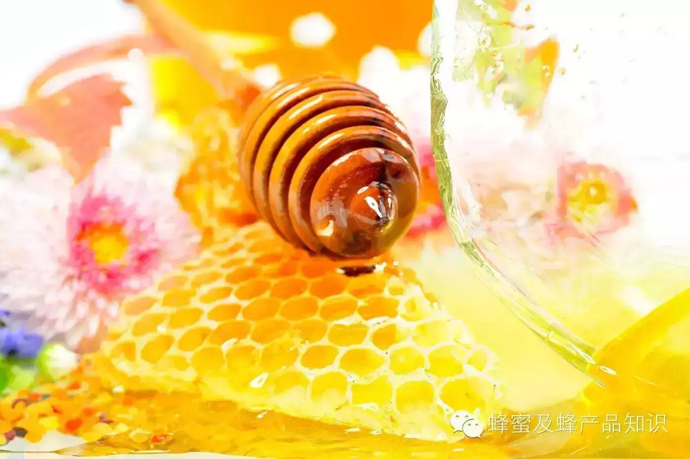 槐花蜂蜜好吗 哪里有蜂蜜卖 如何制作蜂蜜面膜 百花牌蜂蜜 蜂蜜价格