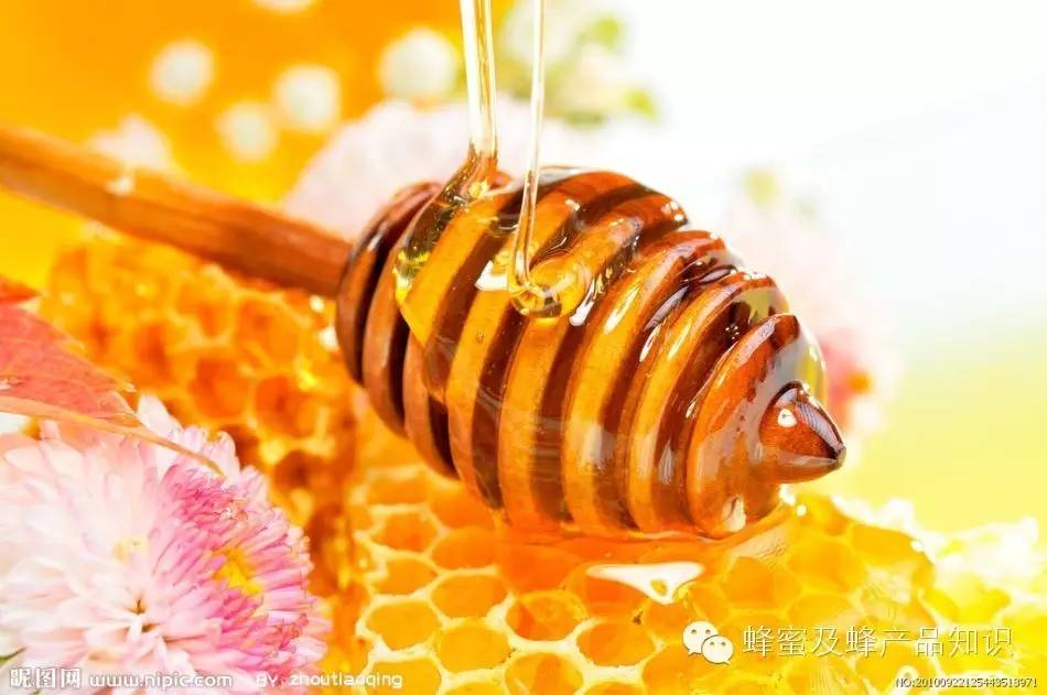 纯天然蜂蜜厂家 蜂蜜苹果醋 三七粉加蜂蜜 蜂蜜和什么做面膜好 哪种蜂蜜最好