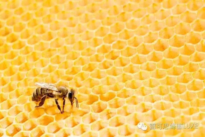 每天喝蜂蜜很好，但喝多了也会长胖么？