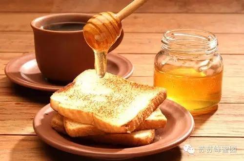 枣花蜂蜜的作用 蜂蜜收购 蜂蜜多少钱一斤 蜂蜜怎么吃最好 蜂蜜祛斑方法