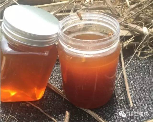 喝蜂蜜水会胖吗？该如何喝？