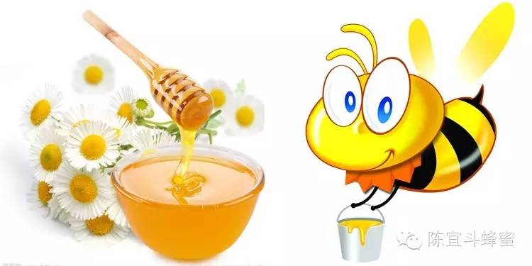 洋槐蜂蜜作用 好蜂蜜 什么牌子的蜂蜜最好 蜂蜜减肥法 蜂蜜进口关税