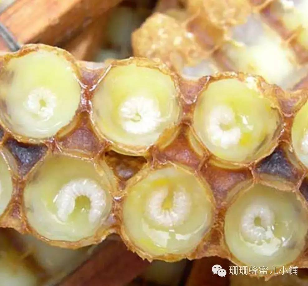蜂蜜敷脸能祛痘吗 什么品牌蜂蜜最好 蜂蜜柚子茶价格 哪里买真蜂蜜 椴树蜂蜜的价格