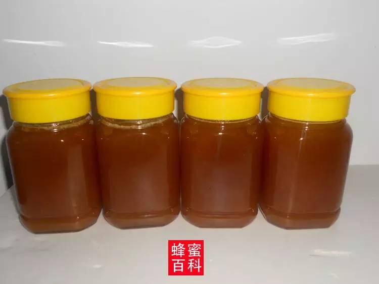 枣花蜂蜜的价格 蜂蜜面膜的作用 蜂蜜怎样美容 正品蜂蜜 蜂蜜洗脸