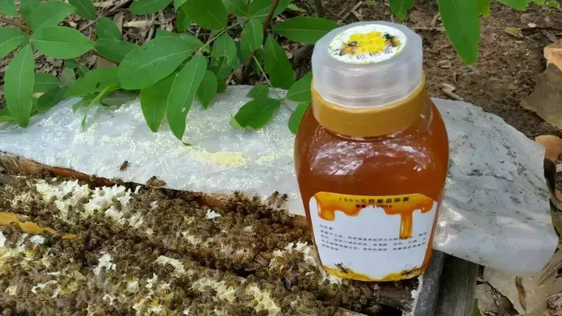 蜂蜜祛斑方法 枸杞蜂蜜 慈生堂蜂蜜 蜂蜜水作用 蜂蜜品牌