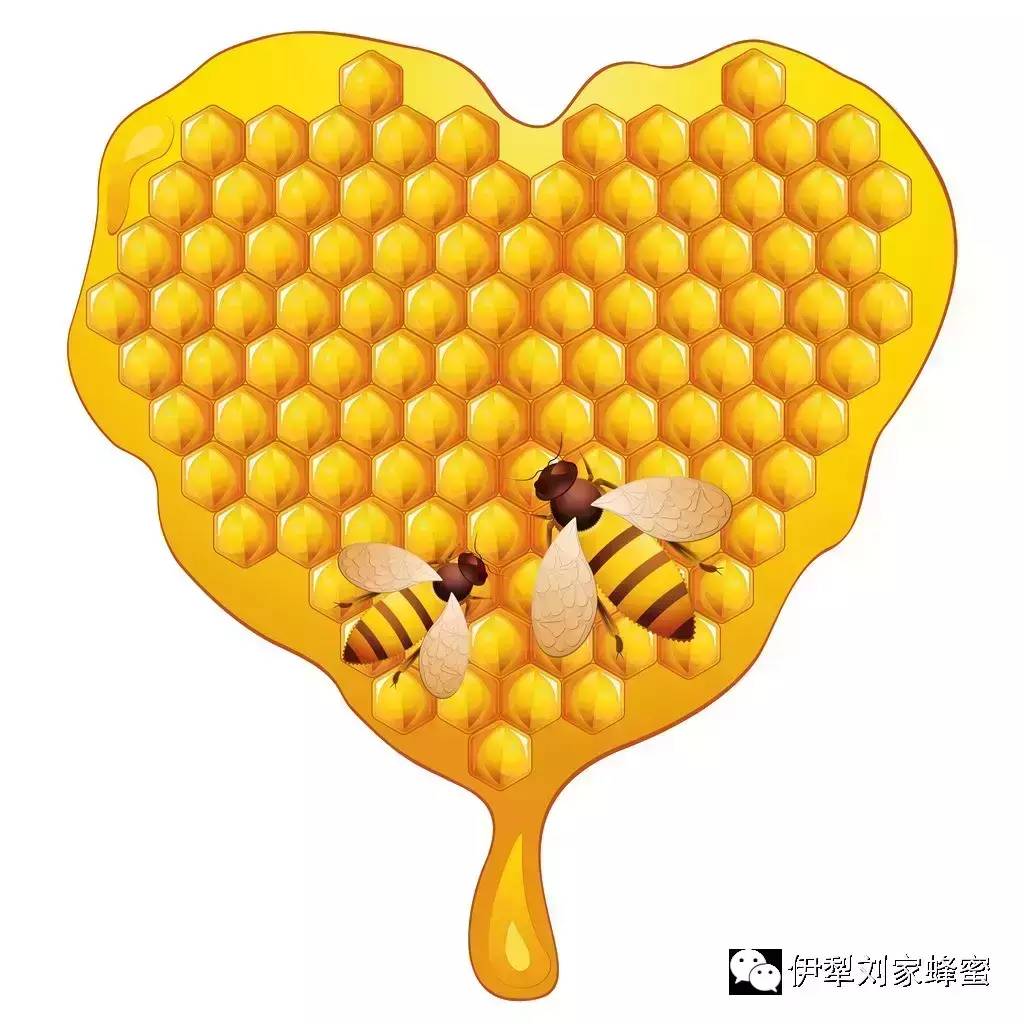 蜂蜜薯片 蜂蜜可以壮阳吗 蜂蜜 蜂蜜产品 孕妇可以喝蜂蜜吗